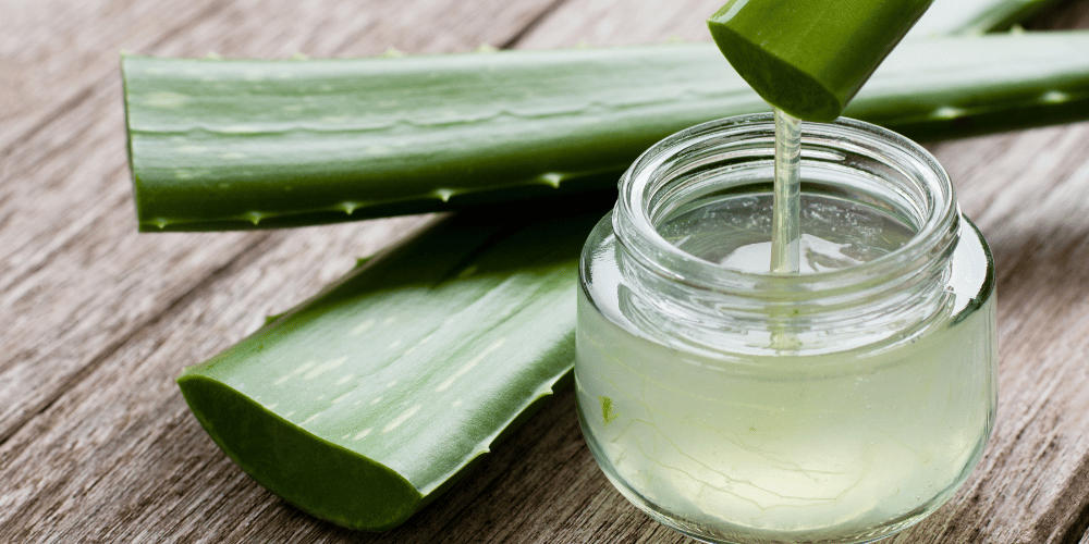 Alivio natural: Aloe vera para la sequedad vaginal Lubracil Alivio natural: Aloe vera para la sequedad vaginal Lubracil