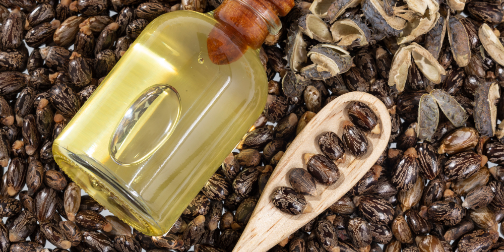 Can You Safely Use Castor Oil as Lube? Lubracil Can You Safely Use Castor Oil as Lube? Lubracil