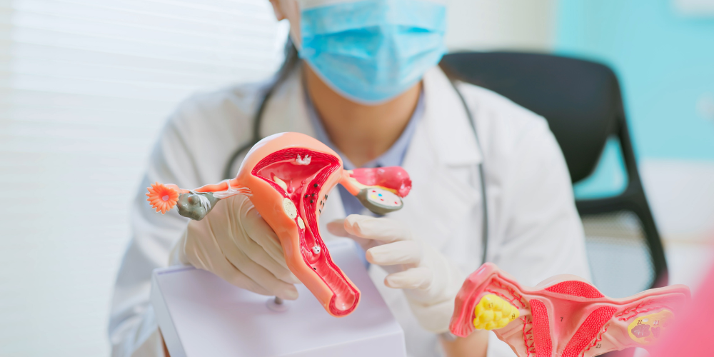 How PCOS Can Cause Bleeding During Intercourse – Lubracil