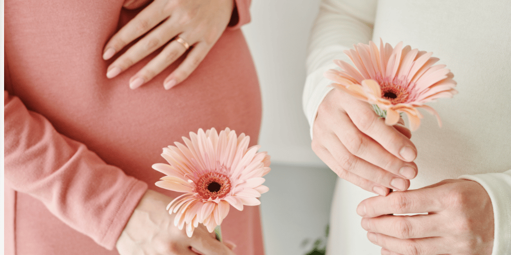 The image is a close-up shot of hands holding pink flowers. The hands belong to a woman, and the flowers appear to be gerbera daisies. It is an indoor setting, possibly depicting a moment of maternity