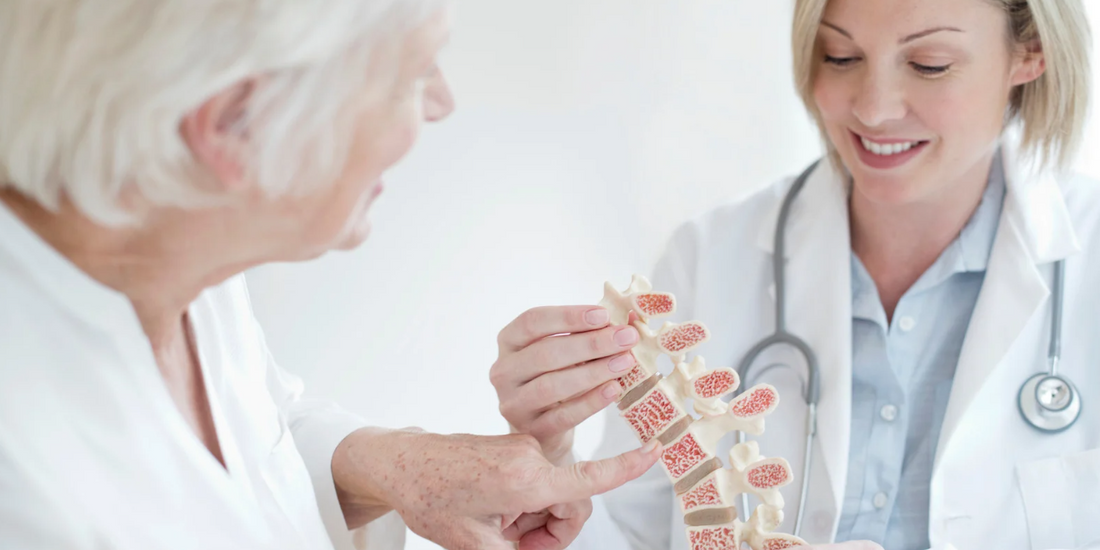 A doctor shows a spinal model to an elderly patient.
