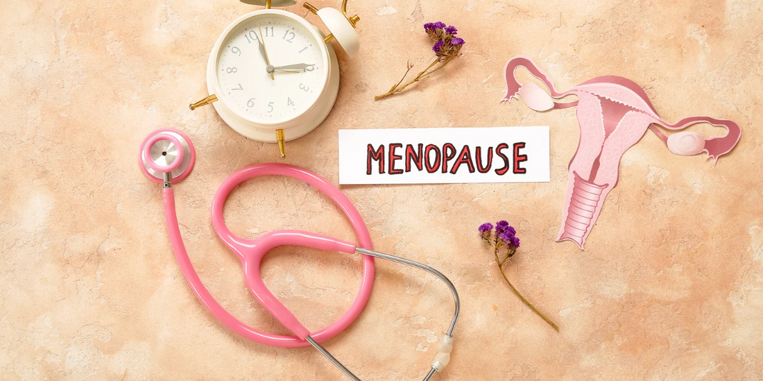 Medical image of menopause.