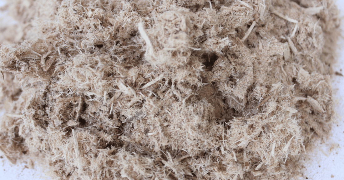 slippery elm bark on white background