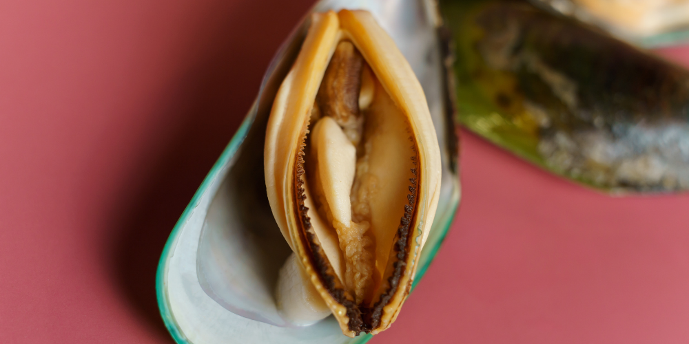 The image shows a mussel on a table.