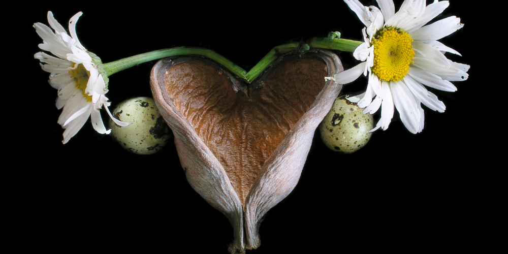 Managing Vaginal Itching During Menopause Tips and Solutions lubracil