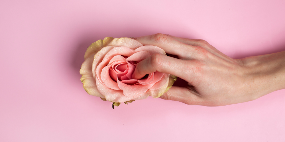 The image is of a person holding a pink rose in their hand.