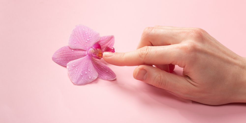 The image shows a hand holding a small pink flower.