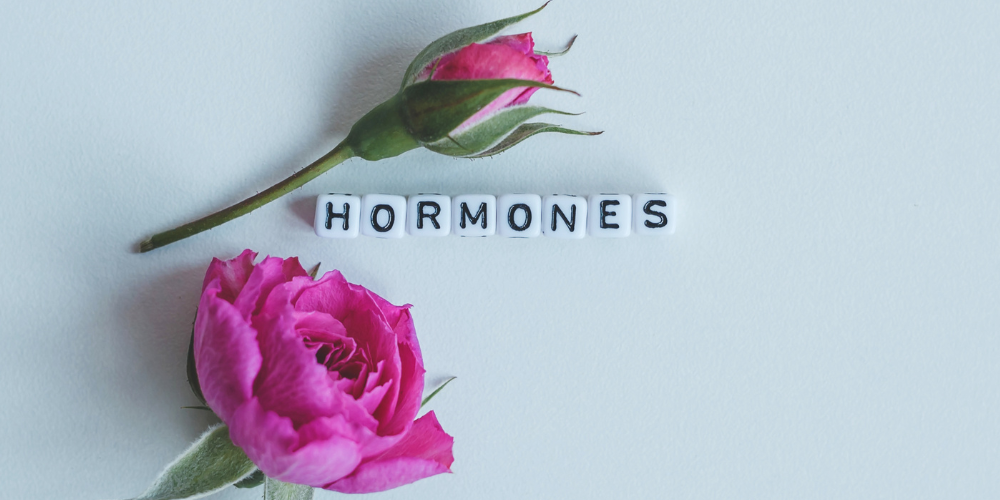 The image shows a text "Hormones".