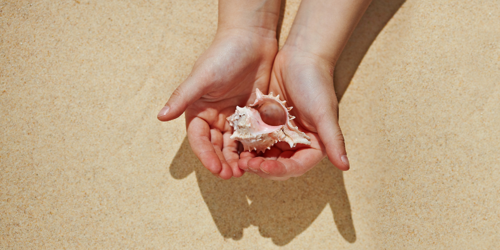 The image shows a person holding a shell.