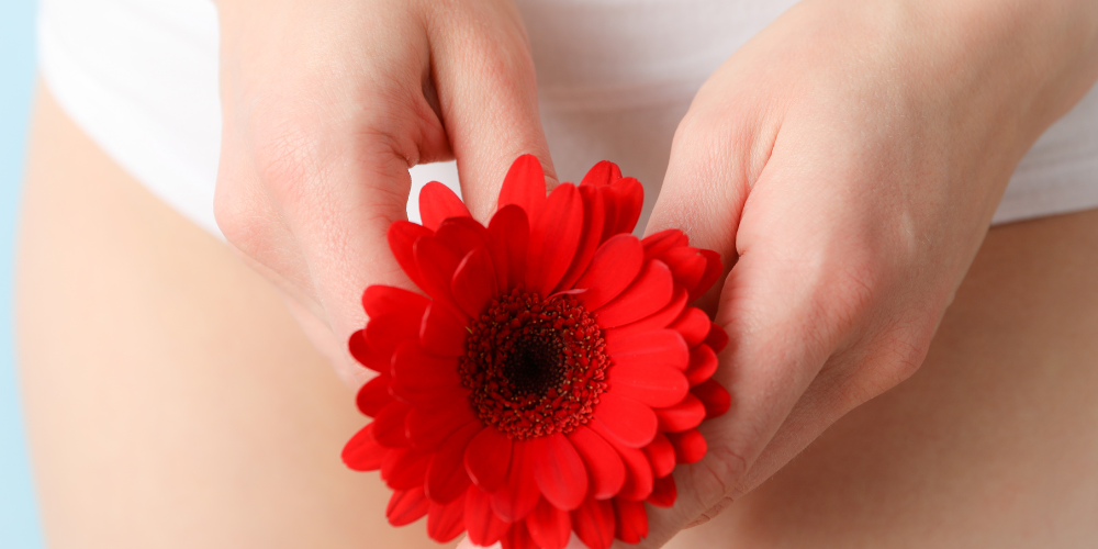 The image shows a person holding a red flower.